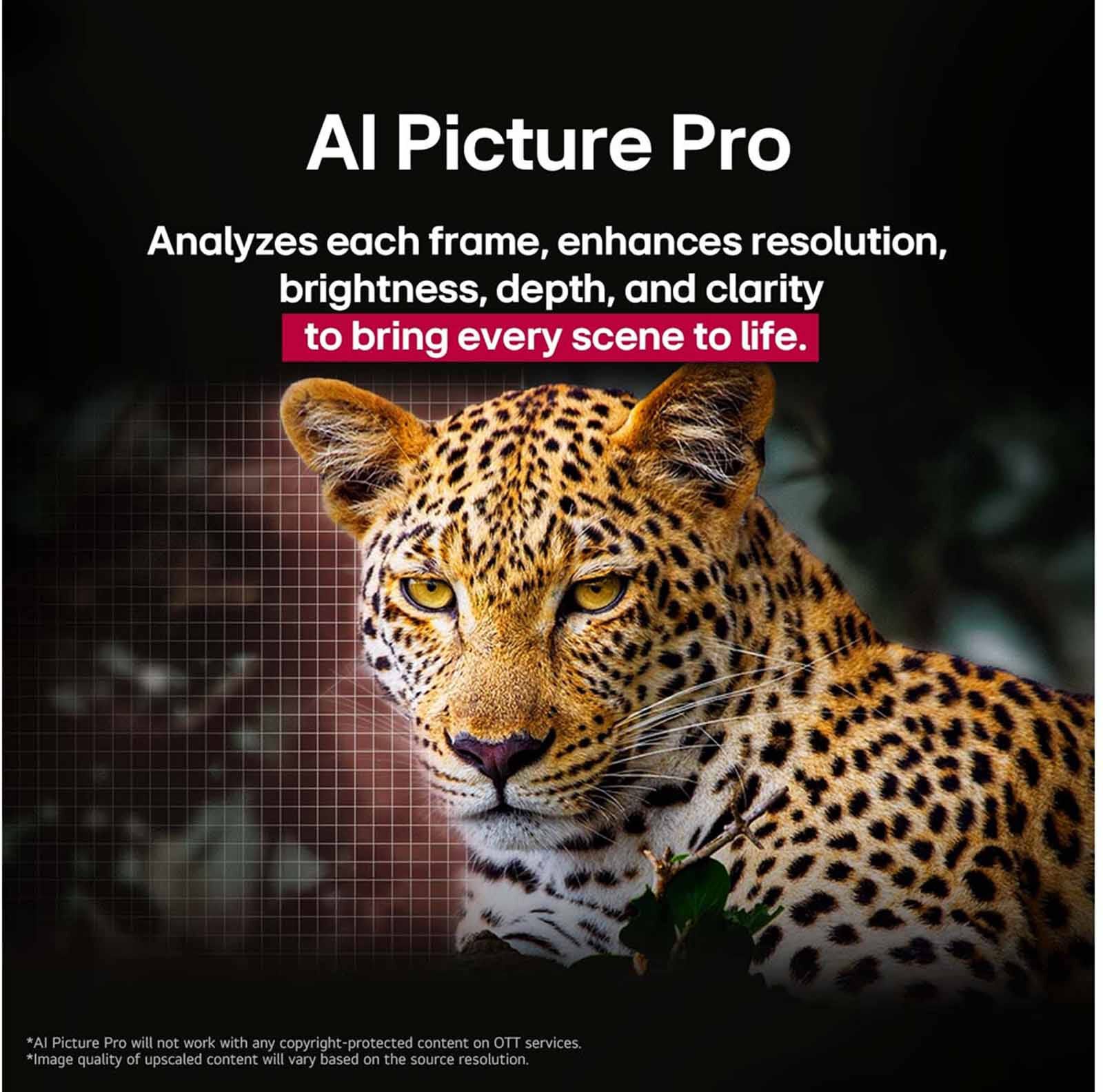 LG 65 In 4k Uhd Oled Tv OLED65C5PSA.ATC - Image 14