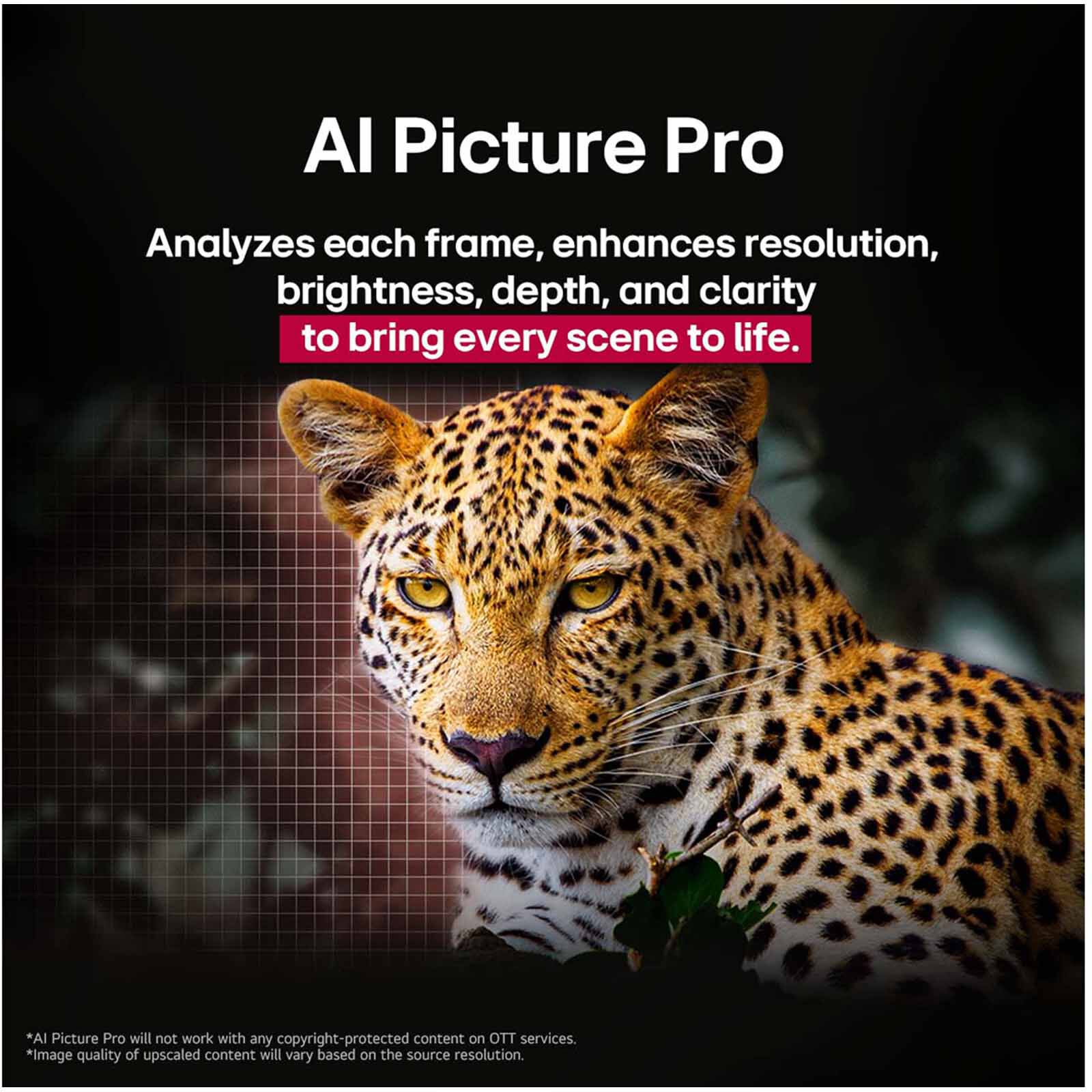 LG 83 In 4k Uhd Oled Tv OLED83G5PSA.ATC - Image 21